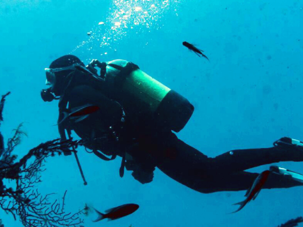 Divemaster Training
