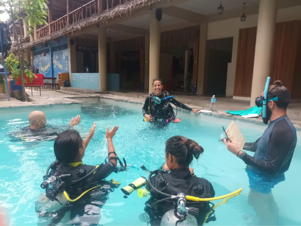 IDC Staff Instructor